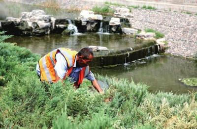 　　河湖管理人员清理河道边的杂草
