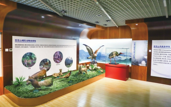 大厅展示